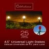 Hot Sale 😍 Celebrations Light Stake 25 ct 🎁