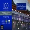 Flash Sale 💯 Celebrations LED M5 Warm White 100 ct Icicle Christmas Lights 6.3 ft. 😀