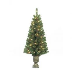 Cheapest 😍 Celebrations Home 4 ft. Pencil Incandescent 35 lights Northern Pine Entrance Tree 👏