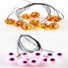 Brand new 💯 Celebrations Incandescent Eyeball and Pumpkin Assortment String Lights 💯