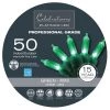 Wholesale 🌟 Celebrations Platinum LED Mini Green 50 ct String Christmas Lights 24.5 ft. 🛒