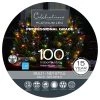 Wholesale ⌛ Celebrations Platinum LED Mini Multicolored 100 ct Net Christmas Lights 4 ft. 🌟