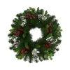 Best deal ✨ Celebrations Home 30 in. D LED Prelit Warm White Wreath 🎉