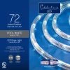 Best deal 😀 Celebrations LED Cool White 72 ct Rope Christmas Lights 9 ft. 🎉