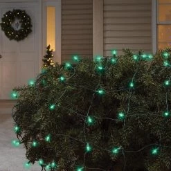 Promo 💯 Celebrations Incandescent Mini Green 150 ct Net Christmas Lights 6 ft. 😍 -Celebrations Sales Shop 85a6125e 9305 4b6a 9261 a49e0b477940