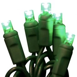 Coupon 😍 Celebrations Platinum LED Green 50 ct String Christmas Lights 🤩