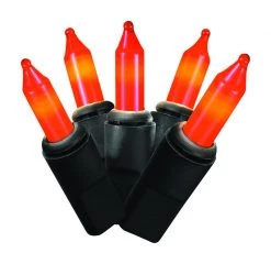 Wholesale 🤩 Celebrations Incandescent String Lights ✔️