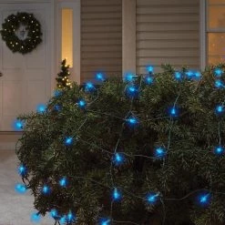 Flash Sale 😀 Celebrations Incandescent Mini Blue 150 ct Net Christmas Lights 6 ft. 🎉 -Celebrations Sales Shop ce5500aa a642 41e8 b772 0f3503cf8014