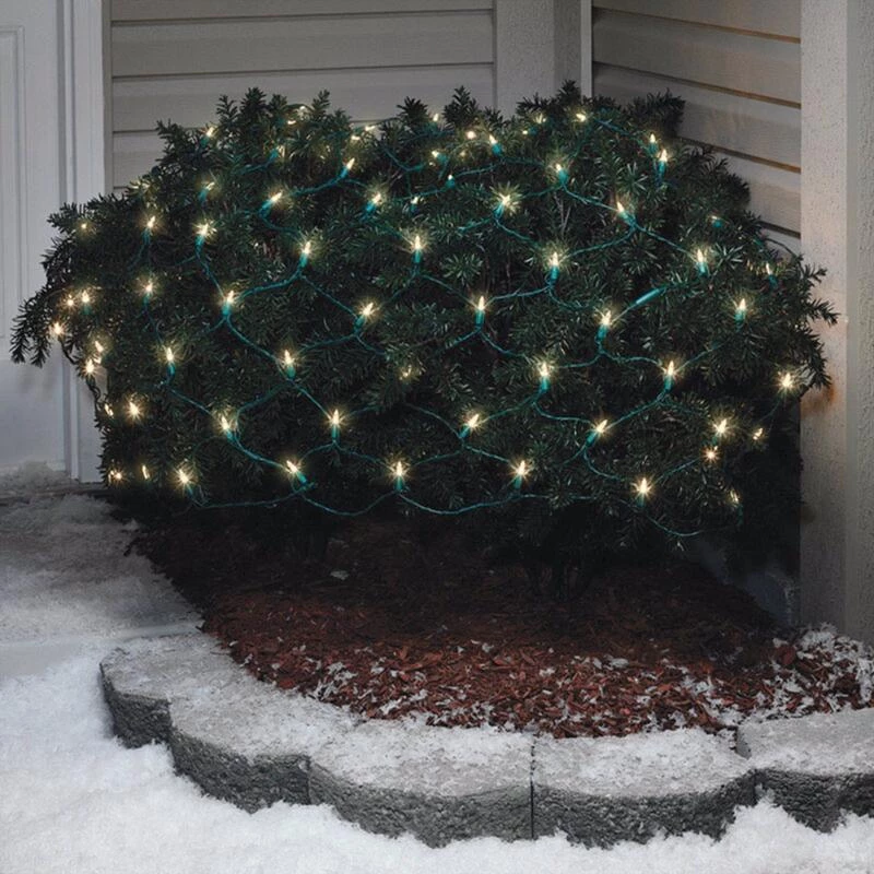 Buy โญ Celebrations LED Warm White 100 ct Net Christmas Lights 6 ft. ๐ฏ 2 Buy โญ Celebrations LED Warm White 100 ct Net Christmas Lights 6 ft. ๐ฏ - Image 2